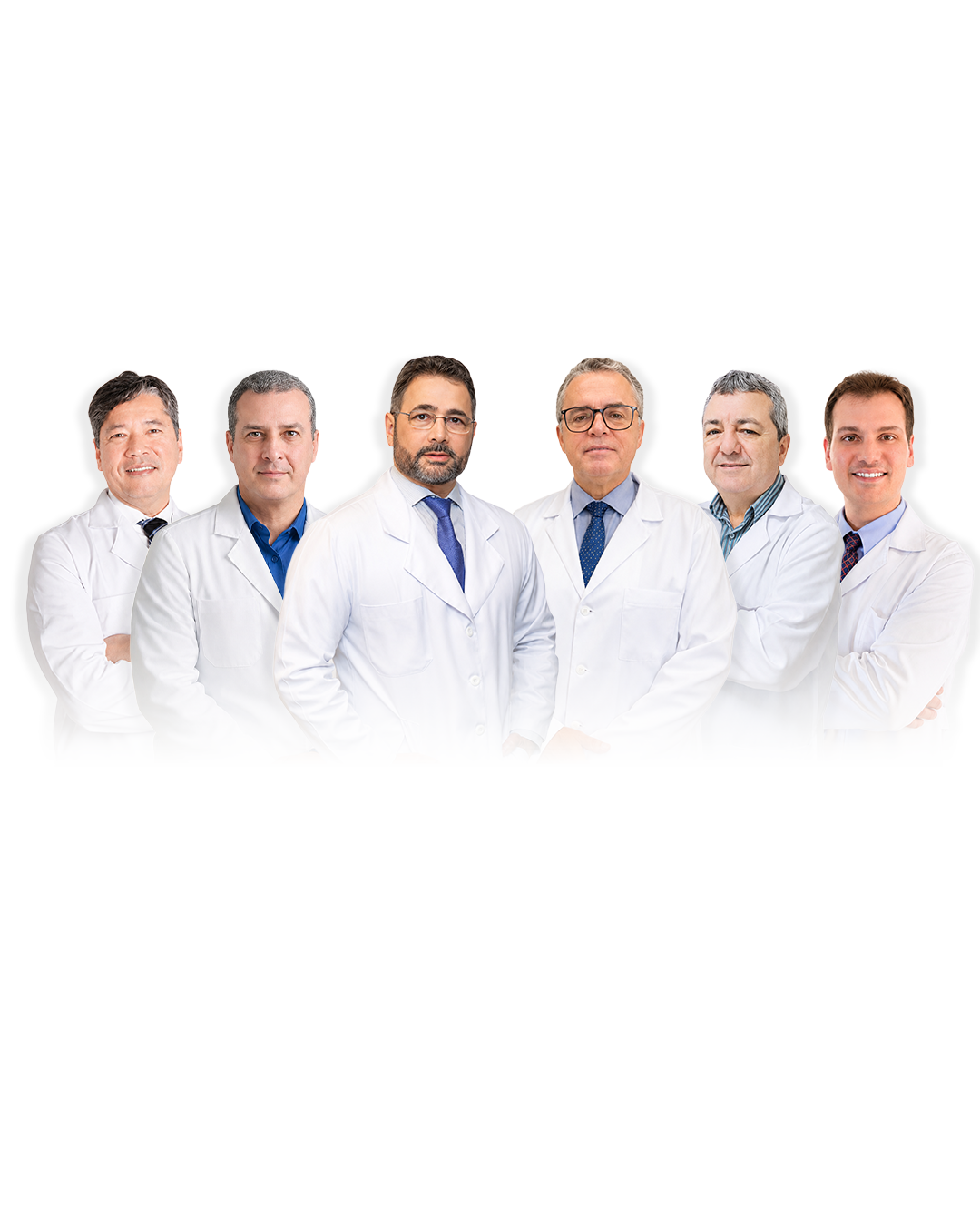 Corpo Docente